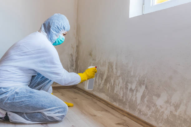 Hvac And Air Duct Mold Remediation inspection of HVAC system in Boonsboro